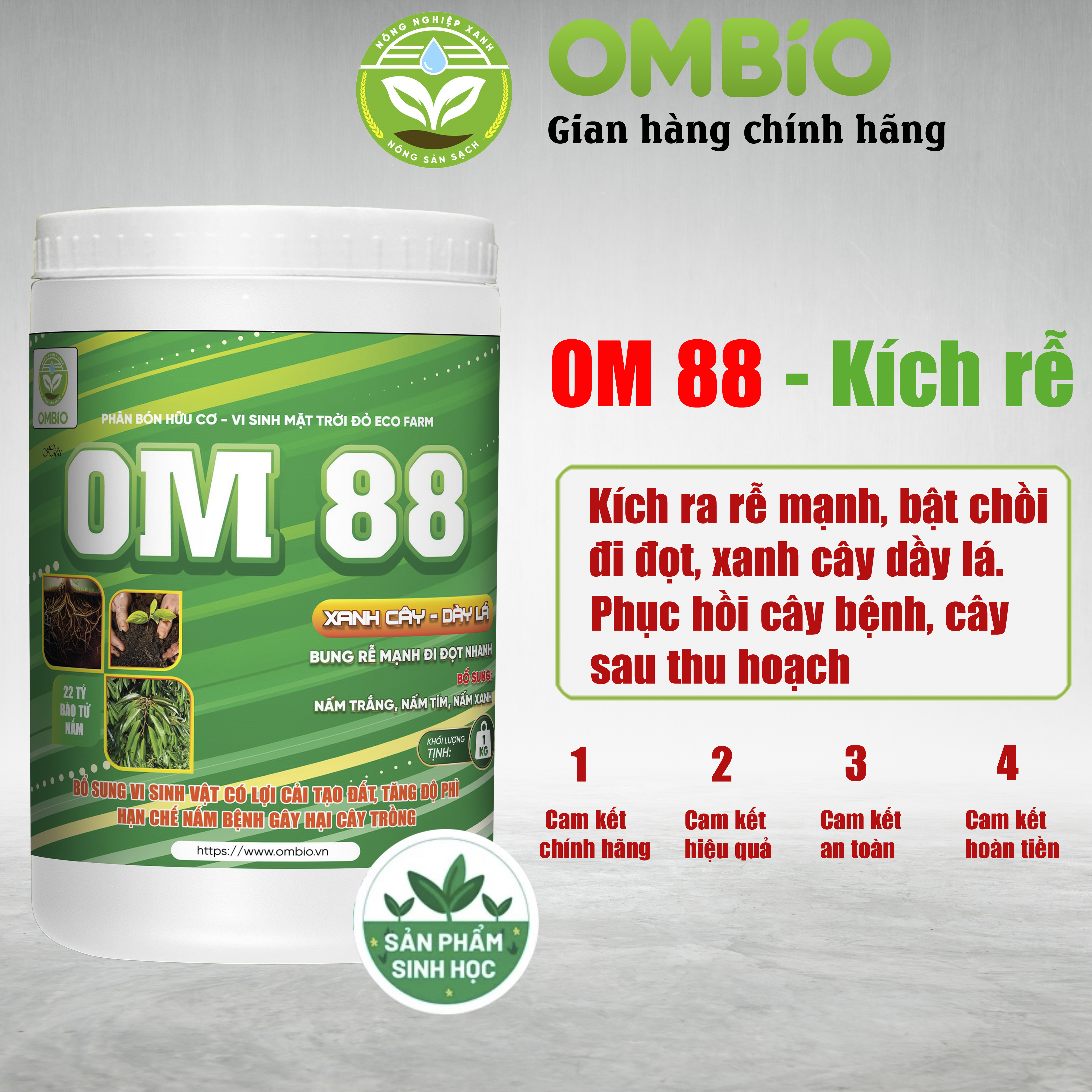 OM 88 - Phân thuốc kích rễ mạnh đi đọt nhanh, xanh cây dầy lá, biến vàng thành xanh