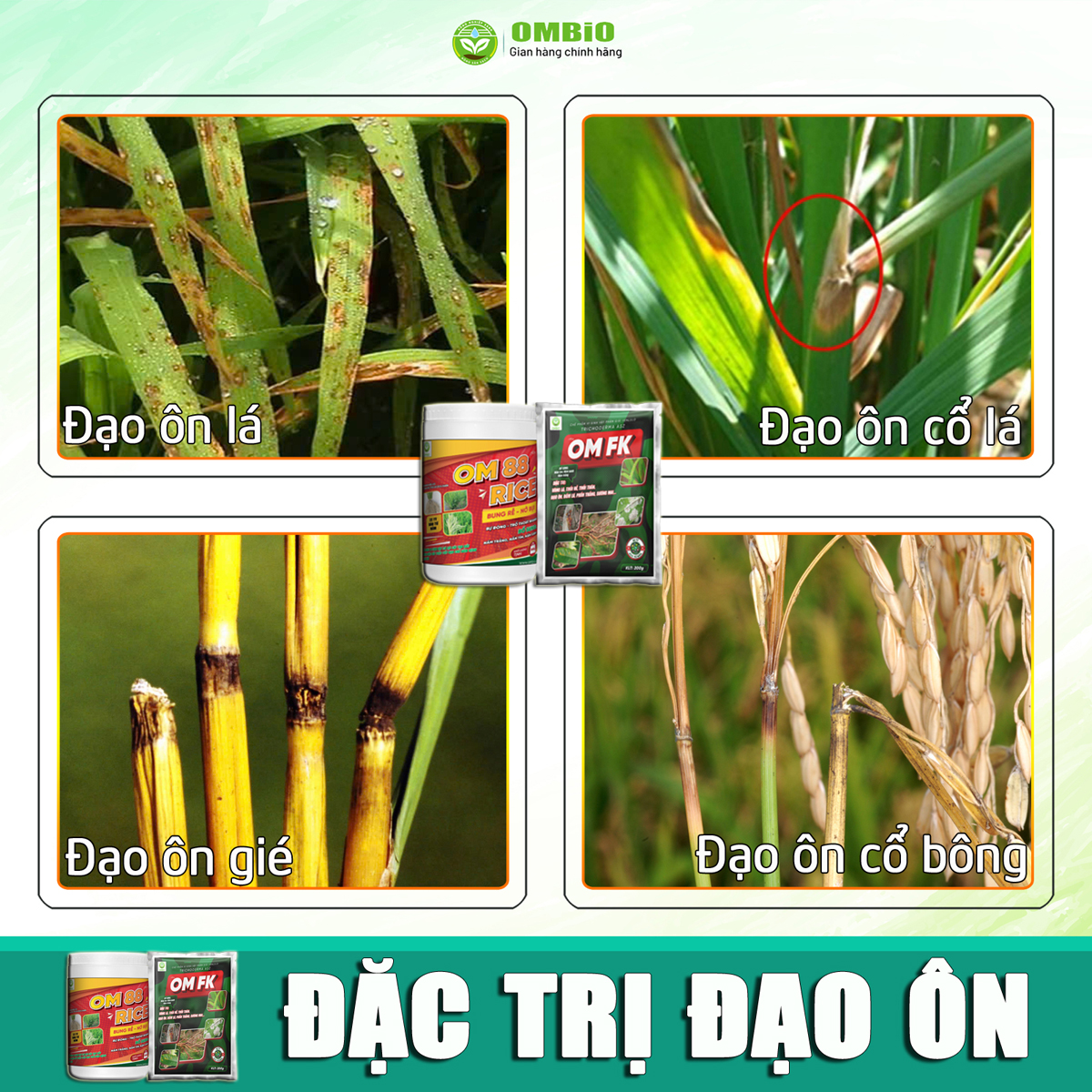 OM 88 RICE + OM FK - Bộ đôi kích rễ nở bụi - tiêu diệt đạo ôn