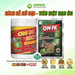 OM 88 RICE + OM FK - Bộ đôi kích rễ nở bụi - tiêu diệt đạo ôn