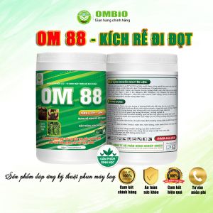 OM 88 - Phân thuốc kích rễ mạnh đi đọt nhanh, xanh cây dầy lá, biến vàng thành xanh