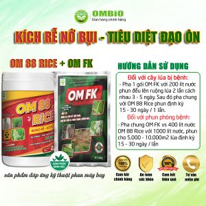 OM 88 RICE + OM FK - Bộ đôi kích rễ nở bụi - tiêu diệt đạo ôn