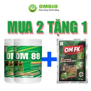 OM 88 - Phân thuốc kích rễ mạnh đi đọt nhanh, xanh cây dầy lá, biến vàng thành xanh