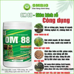 OM 88 - Phân thuốc kích rễ mạnh đi đọt nhanh, xanh cây dầy lá, biến vàng thành xanh