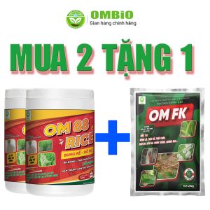 OM 88 RICE - Phân thuốc kích rễ mạnh, nảy mầm khỏe, nở bụi to, bự đòng trổ thoát nhanh