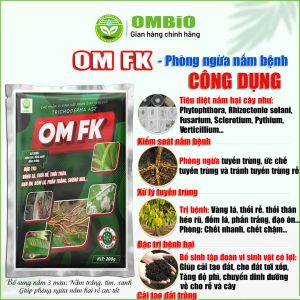 OM FK - Đặc trị nấm bệnh, xử lý vàng lá, thối rễ, đạo ôn, đốm lá, phấn trắng, sương mai